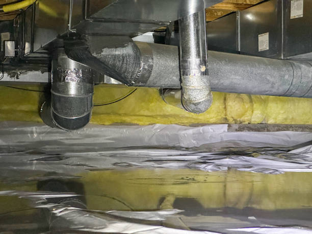 Best Carpet water damage restoration  in Francis, UT