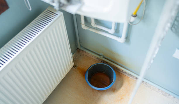 Best Flood restoration services  in Francis, UT
