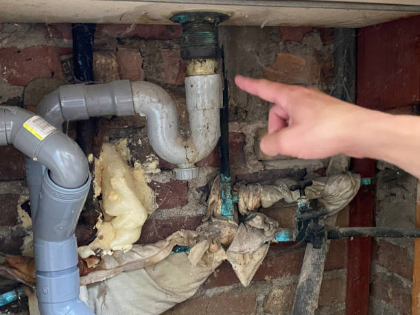 Best Ceiling water damage repair  in Francis, UT