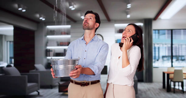 Best Local water damage restoration  in Francis, UT