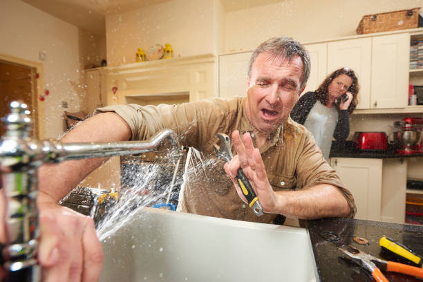 Best 24-hour water damage restoration  in Francis, UT